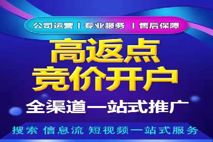 谷歌竞价案例：成功案例分析及启示